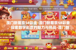 澳门新葡京58彩金-澳门新葡京58彩金，探索数字彩票的魅力与挑战-澳门新葡京58彩金