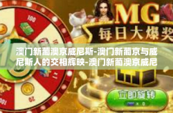 澳门新葡澳京威尼斯-澳门新葡京与威尼斯人的交相辉映-澳门新葡澳京威尼斯