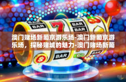 澳门赌场新葡京游乐场-澳门新葡京游乐场，探秘赌城的魅力-澳门赌场新葡京游乐场