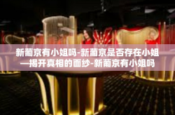新葡京有小姐吗-新葡京是否存在小姐—揭开真相的面纱-新葡京有小姐吗