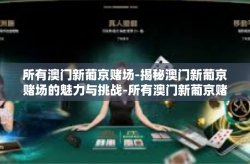 所有澳门新葡京赌场-揭秘澳门新葡京赌场的魅力与挑战-所有澳门新葡京赌场