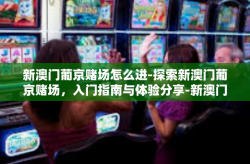 新澳门葡京赌场怎么进-探索新澳门葡京赌场，入门指南与体验分享-新澳门葡京赌场怎么进