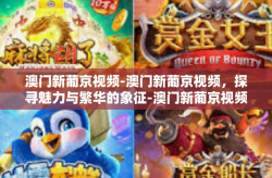 澳门新葡京视频-澳门新葡京视频，探寻魅力与繁华的象征-澳门新葡京视频