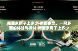 新葡京网子上多少-新葡京网，一网多面的体验与探讨-新葡京网子上多少