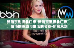 新葡京到拱北口岸-新葡京至拱北口岸，城市的脉络与生活的节奏-新葡京到拱北口岸