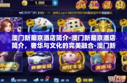 澳门新葡京酒店简介-澳门新葡京酒店简介，奢华与文化的完美融合-澳门新葡京酒店简介