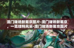 澳门赌场新葡京图片-澳门赌场新葡京，一览独特风采-澳门赌场新葡京图片
