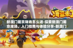 新澳门葡京赌场怎么进-探索新澳门葡京赌场，入门指南与体验分享-新澳门葡京赌场怎么进