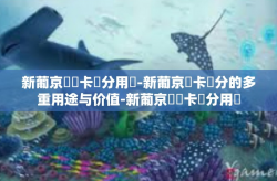 新葡京賔賓卡積分用處-新葡京賓卡積分的多重用途与价值-新葡京賔賓卡積分用處