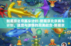 新葡京北京赛车计划-新葡京北京赛车计划，速度与激情的完美融合-新葡京北京赛车计划