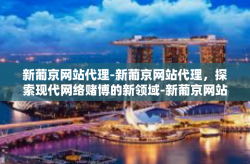 新葡京网站代理-新葡京网站代理，探索现代网络赌博的新领域-新葡京网站代理