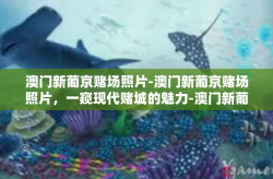 澳门新葡京赌场照片-澳门新葡京赌场照片，一窥现代赌城的魅力-澳门新葡京赌场照片