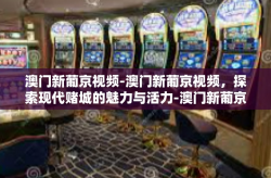 澳门新葡京视频-澳门新葡京视频，探索现代赌城的魅力与活力-澳门新葡京视频