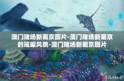 澳门赌场新葡京图片-澳门赌场新葡京的璀璨风貌-澳门赌场新葡京图片