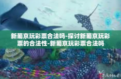 新葡京玩彩票合法吗-探讨新葡京玩彩票的合法性-新葡京玩彩票合法吗