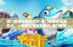 澳门新葡京赌场照片-澳门新葡京赌场照片，一窥现代赌城的魅力-澳门新葡京赌场照片