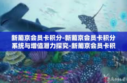 新葡京会员卡积分-新葡京会员卡积分系统与增值潜力探究-新葡京会员卡积分