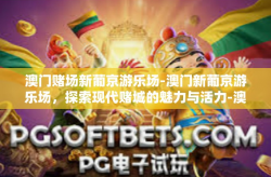澳门赌场新葡京游乐场-澳门新葡京游乐场，探索现代赌城的魅力与活力-澳门赌场新葡京游乐场
