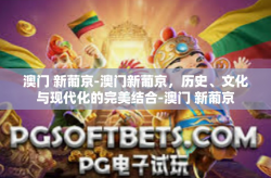 澳门 新葡京-澳门新葡京，历史、文化与现代化的完美结合-澳门 新葡京