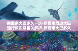 新葡京大巴多久一次-新葡京周边大巴运行频次及相关解析-新葡京大巴多久一次