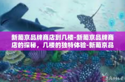 新葡京品牌商店到几楼-新葡京品牌商店的探秘，几楼的独特体验-新葡京品牌商店到几楼