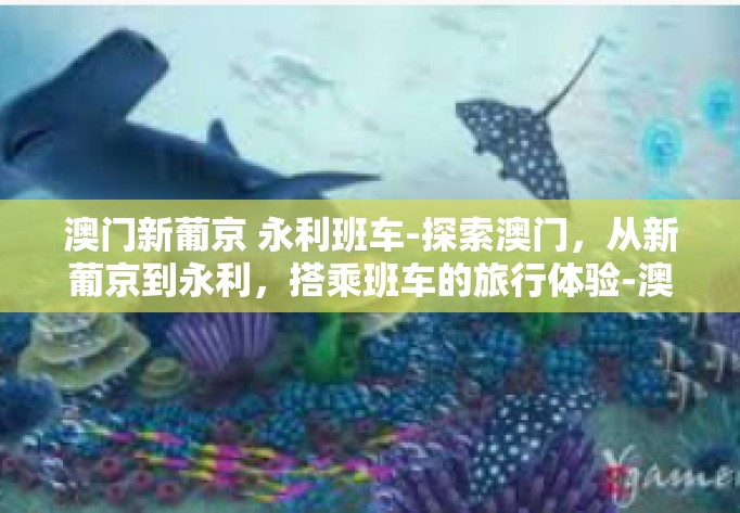 澳门新葡京 永利班车-探索澳门，从新葡京到永利，搭乘班车的旅行体验-澳门新葡京 永利班车