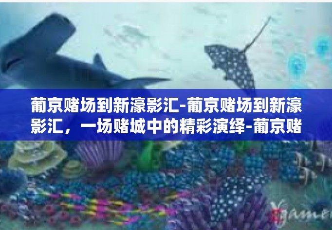 葡京赌场到新濠影汇-葡京赌场到新濠影汇，一场赌城中的精彩演绎-葡京赌场到新濠影汇