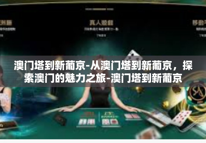 澳门塔到新葡京-从澳门塔到新葡京，探索澳门的魅力之旅-澳门塔到新葡京