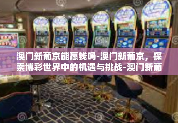 澳门新葡京能赢钱吗-澳门新葡京，探索博彩世界中的机遇与挑战-澳门新葡京能赢钱吗