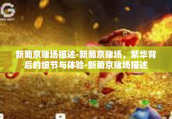 新葡京赌场描述-新葡京赌场，繁华背后的细节与体验-新葡京赌场描述