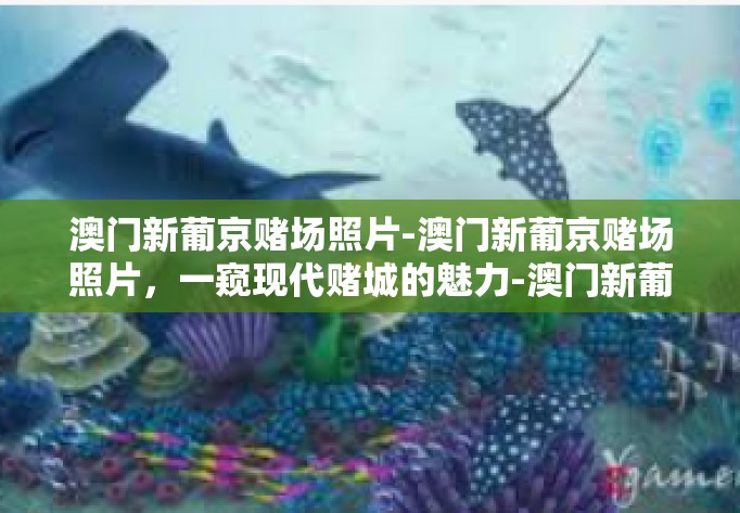 澳门新葡京赌场照片-澳门新葡京赌场照片，一窥现代赌城的魅力-澳门新葡京赌场照片