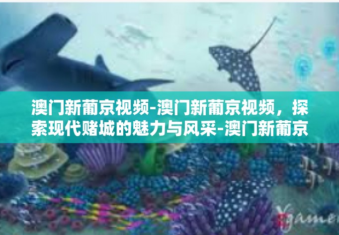 澳门新葡京视频-澳门新葡京视频，探索现代赌城的魅力与风采-澳门新葡京视频