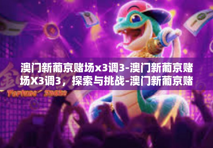 澳门新葡京赌场x3调3-澳门新葡京赌场X3调3，探索与挑战-澳门新葡京赌场x3调3