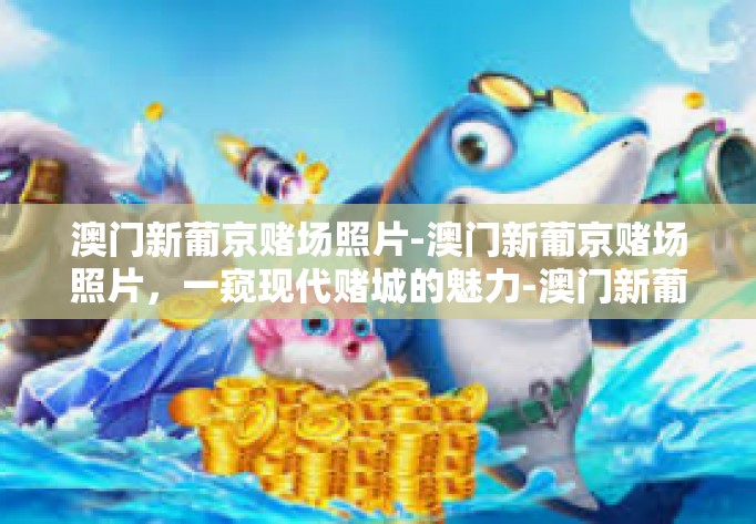 澳门新葡京赌场照片-澳门新葡京赌场照片，一窥现代赌城的魅力-澳门新葡京赌场照片