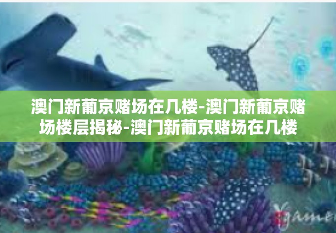 澳门新葡京赌场在几楼-澳门新葡京赌场楼层揭秘-澳门新葡京赌场在几楼